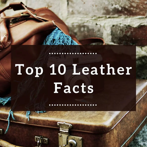 top ten leather facts leatherinth