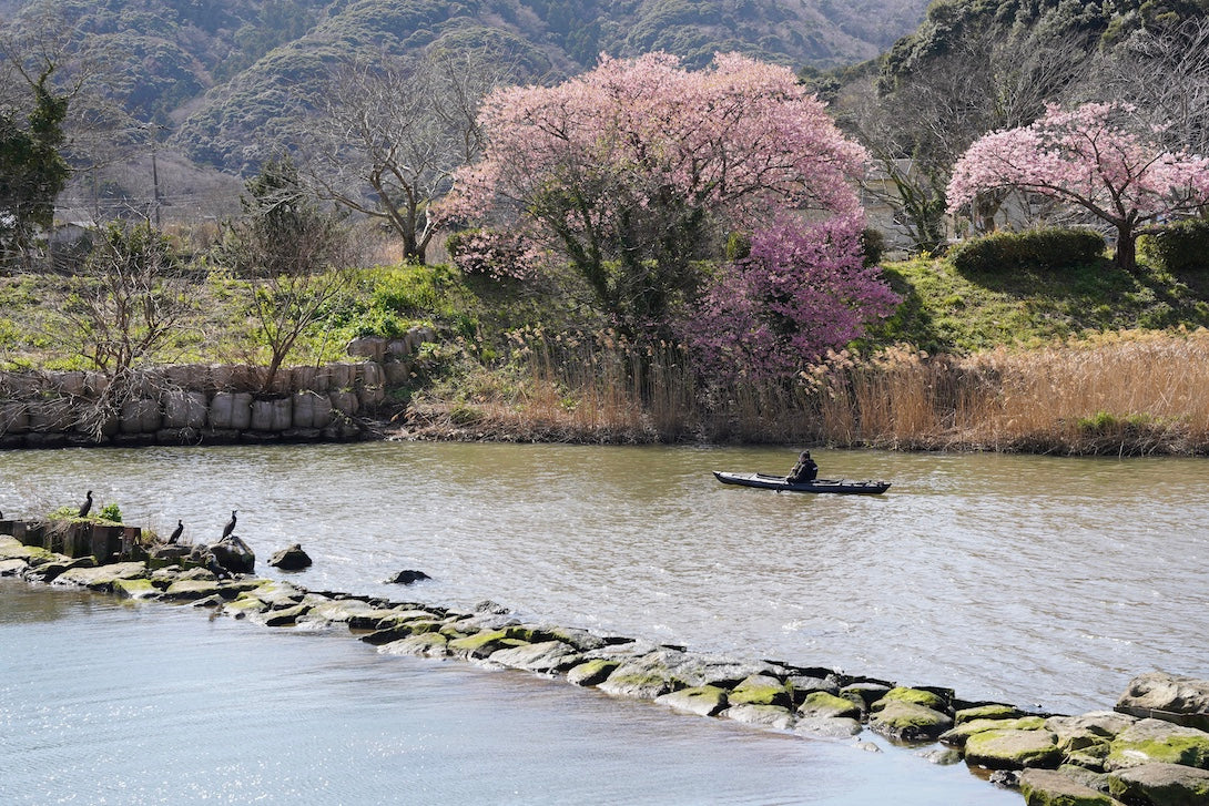 青野川