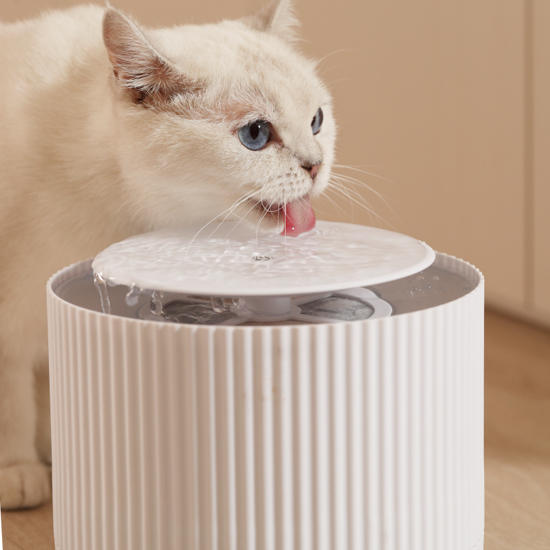Kurve Raised Pet Bowl - Fur Cat's Sake