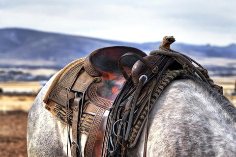 Saddle