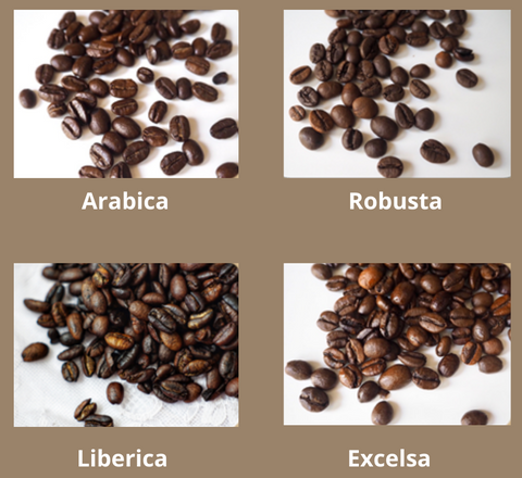 Coffee Beans