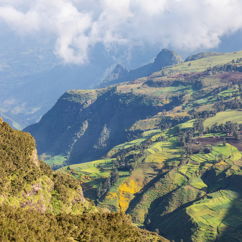 Ethiopian Highlands