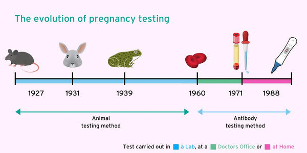 The revolution of pregnant test