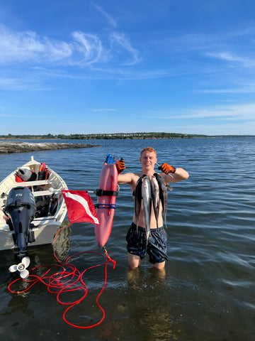 Striped Bass and Tautog shot while spearfishing in Rhode Island