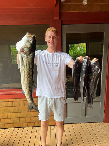 Spearfishing a Striped Bass and 3 Tautog at East Wall in Point Judith Rhode Island