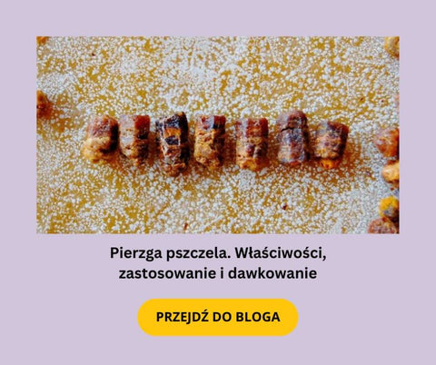 baner bloga o pierzdze