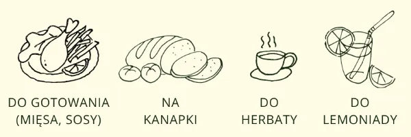 Grafika przedstawiająca zastosowania miodu nawłociowego w postaci odręcznych rysunków potraw z podpisami. Przestawia zastosowania takie, jak: do gotowania, na kanapki, do herbaty, do lemoniady