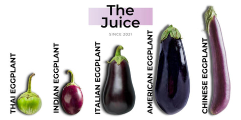 Five Eggplant Varieties And Best Ways To Use Them Purvey D   Eggplant Varieties 480x 