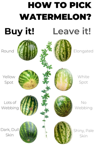 How to choose the best watermelon?