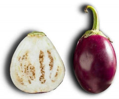 INDIAN EGGPLANT