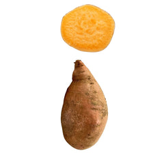 Jumbo Yam