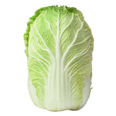 NAPA CABBAGE