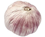 Fresh Garlic / Purple Garlic