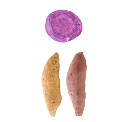 Purple Yam