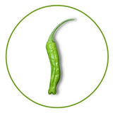 Hot Peppers And The Scoville Scale - Zamnesia