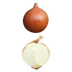 YELLOW ONION