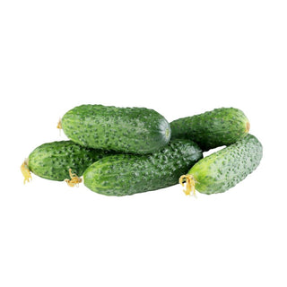 https://cdn.shopify.com/s/files/1/0550/0869/0368/products/PICKLE-DILL-3A_320x.jpg?v=1666201430