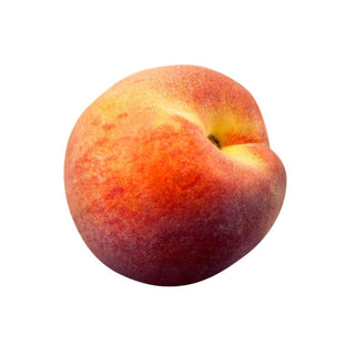 SHOP WHOLESALE NECTARINE