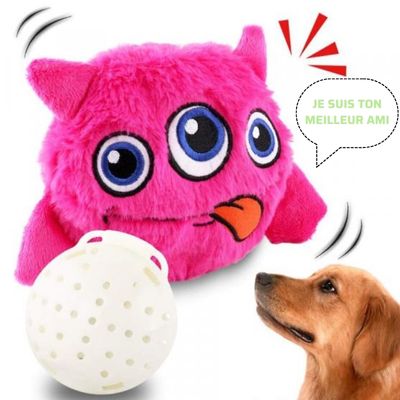 QIILU Peluche Chien Interactif, Apaiser les Émotions du Bébé Simulation  Jouet Chien Formation Linguistique Utile pour Enfant pour Intérieur pour  Salon pour Bébé 