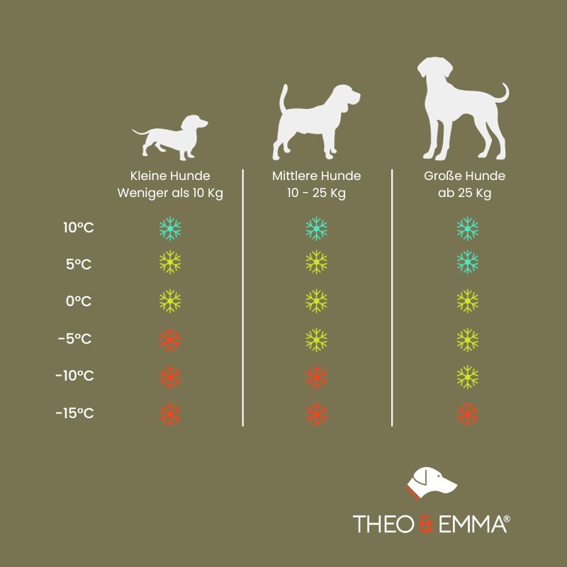 Ab welcher Temperatur brauchen Hunde Hundemäntel?
