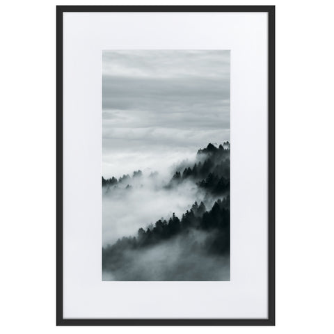 Acquista Foggy Forest Black & White I - 50x70 cm Poster qui