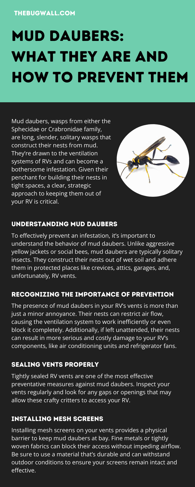 Mud Daubers: What They Are and How To Prevent Them