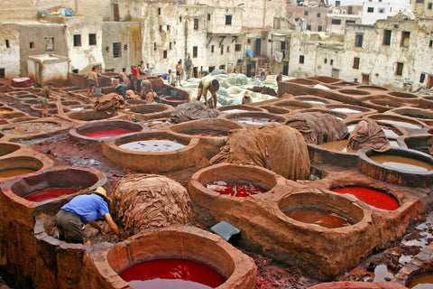 Leather dyeing pits in Morroco.