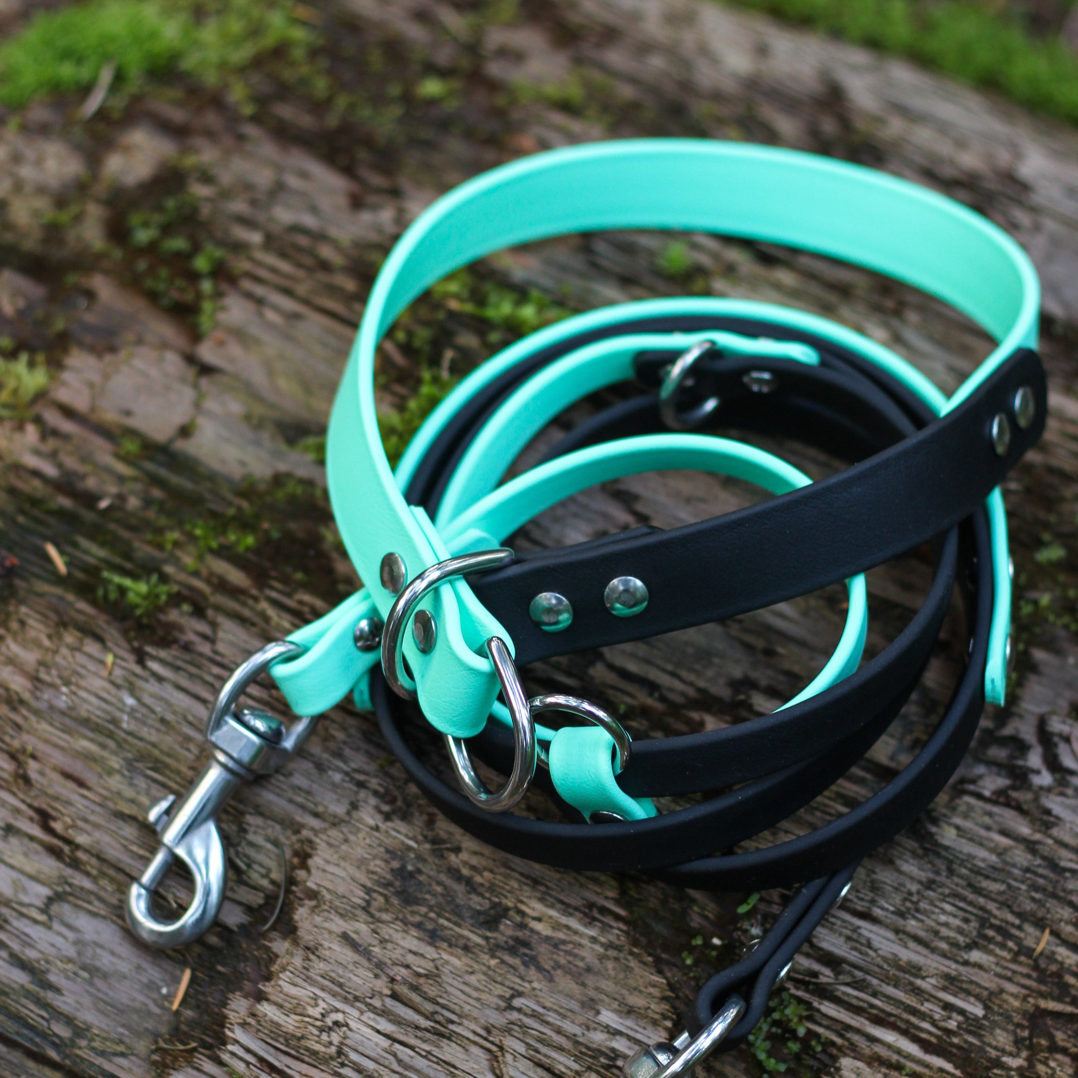Educator Biothane Dog Collar, Waterproof, Odorproof, Metal Buckle and D  Ring, Adjustable for Custom Fit, Cool and Comfortable, for Small, Medium,  or