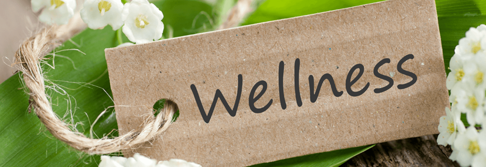 Wellness - Ayurveda/The Science of Life - The Himalaya Drug Company