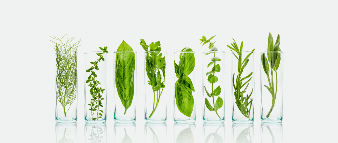 Herbs in glasses - Our Science - The Himalaya Drug Company