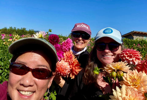 Pictured above are three members of Team SHINE (L-R): Rae Takemoto (Creative Program Director), Melinda Caroll (Founder and Executive Director), and Shelley Toon Lindberg (Visual and Media Arts Director) visiting a dahlia farm during our most recent project. Our work is collaborative and we always welcome your ideas for school projects in your area.  Our Biggest Mahalo and So Much Aloha,  Melinda Caroll   Founder/Executive Director When We Shine Foundation