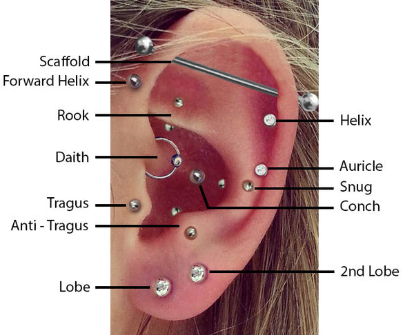 Top Ear Piercings – BMG Body Jewellery