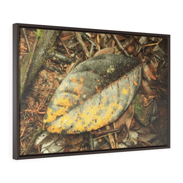 Horizontal Framed Premium Gallery Wrap Canvas - Holy Spirit River explorations - El Yunque rainforest PR - Yunque Store
