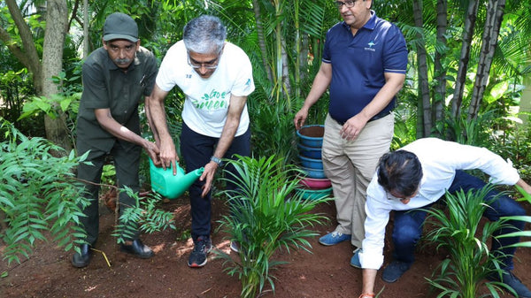 Dimexon Planting Trees