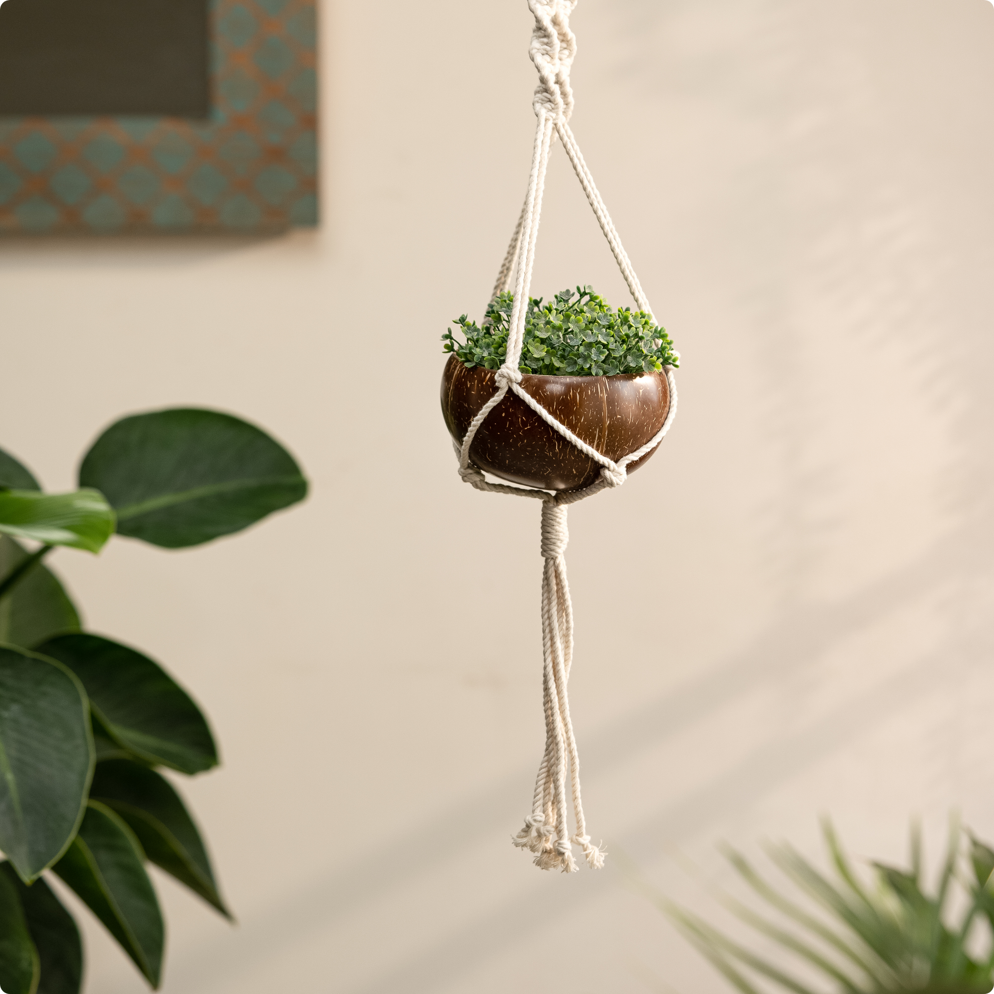 shell macrame