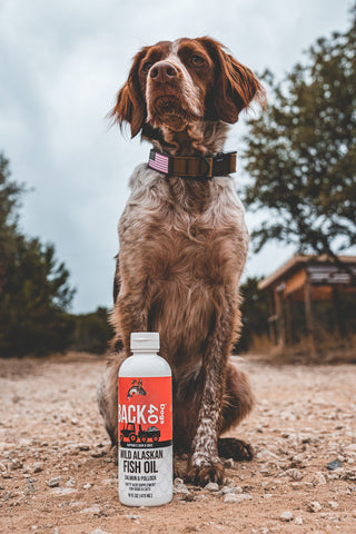 back 40 dogs fish oil