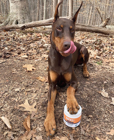 doberman supplement for gut health back 40 dogs pumpkin powder