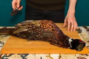 Breast a pheasant - step 1