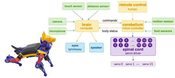 Petoi Robots Software