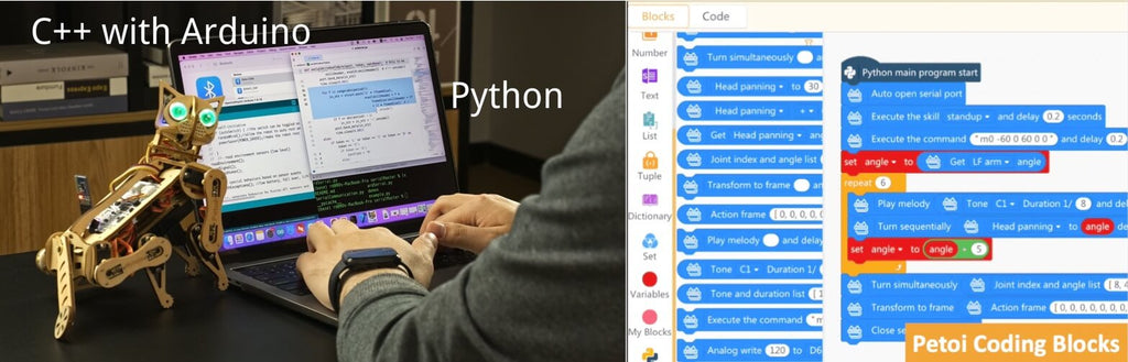 Программа Petoi Robot Cat Nybble с использованием блочного программирования Scratch, C++ и Python