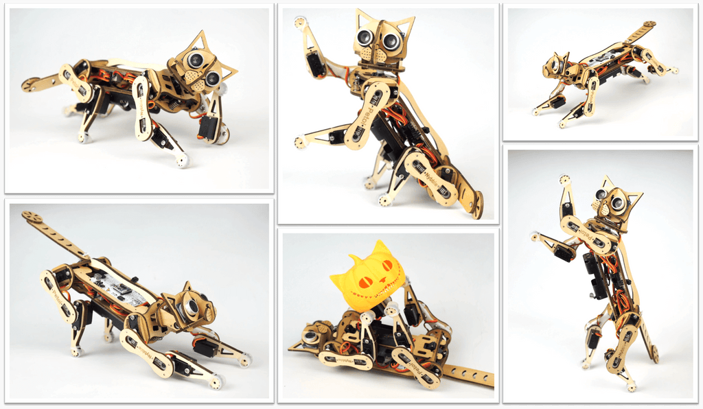 Robot Cat Nybble | World's Cutest Open Source Robotic Cat 15