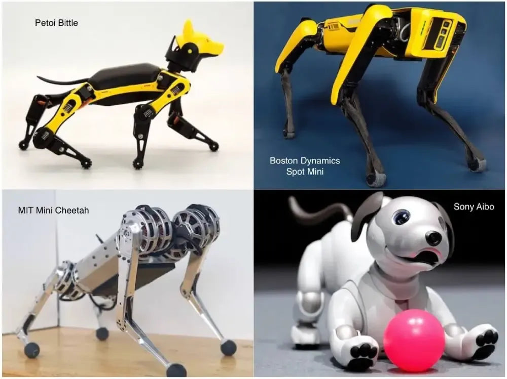 Robot Dog vs. Real Dog