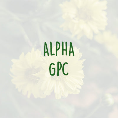 Hello Happy Ingredients - Alpha GPC