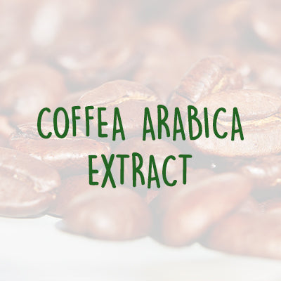 Hello Focus Ingredients - Coffea Arabica Extract