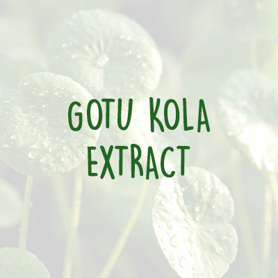 Hello Calm Ingredients - >Gotu Kola Extract