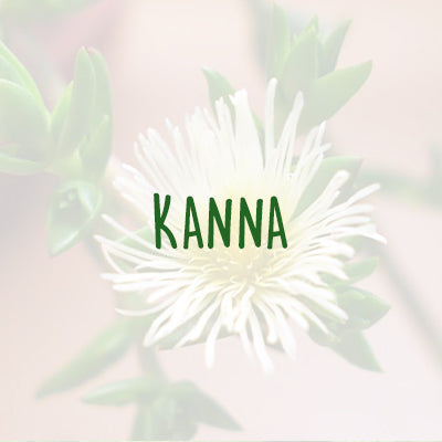 Hello Calm Ingredients - Kanna