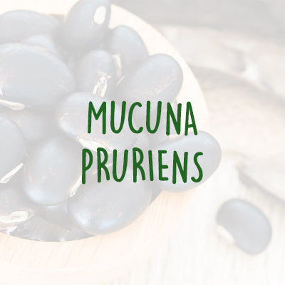 Hello Happy Ingredients - Mucuna Pruriens