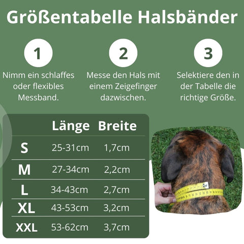 Hundehalsband für Hunde personalisiert mit Name