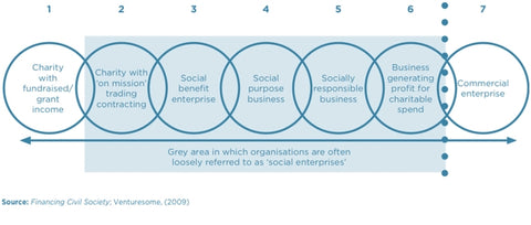 Social enterprise structures