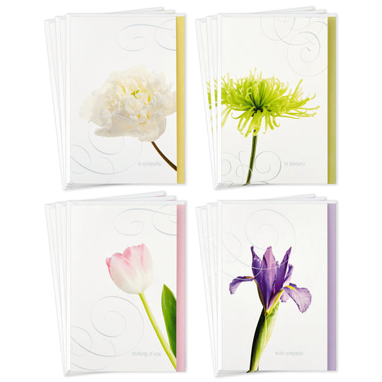 Assorted Greeting Cards with Card Organizer